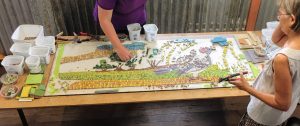 bowerbird mosaic