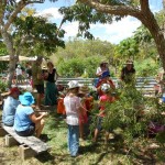 MT Molloy School Garden