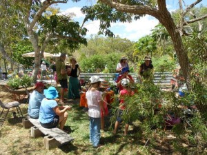 MT Molloy School Garden