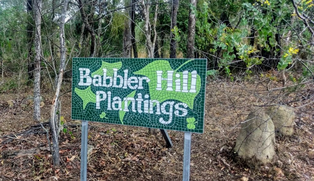 Babbler Hill Plantings